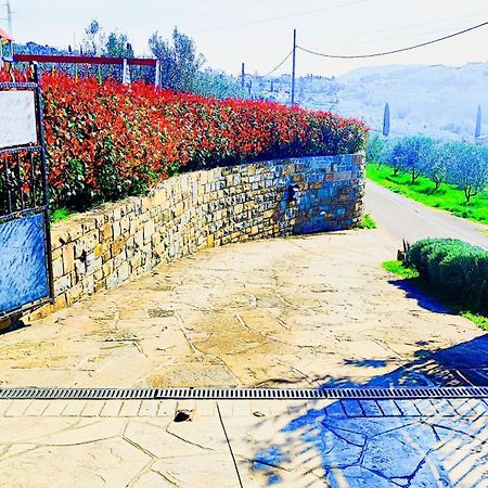 Apartment Wine & Olive Oil Mofardin Koper Exterior foto